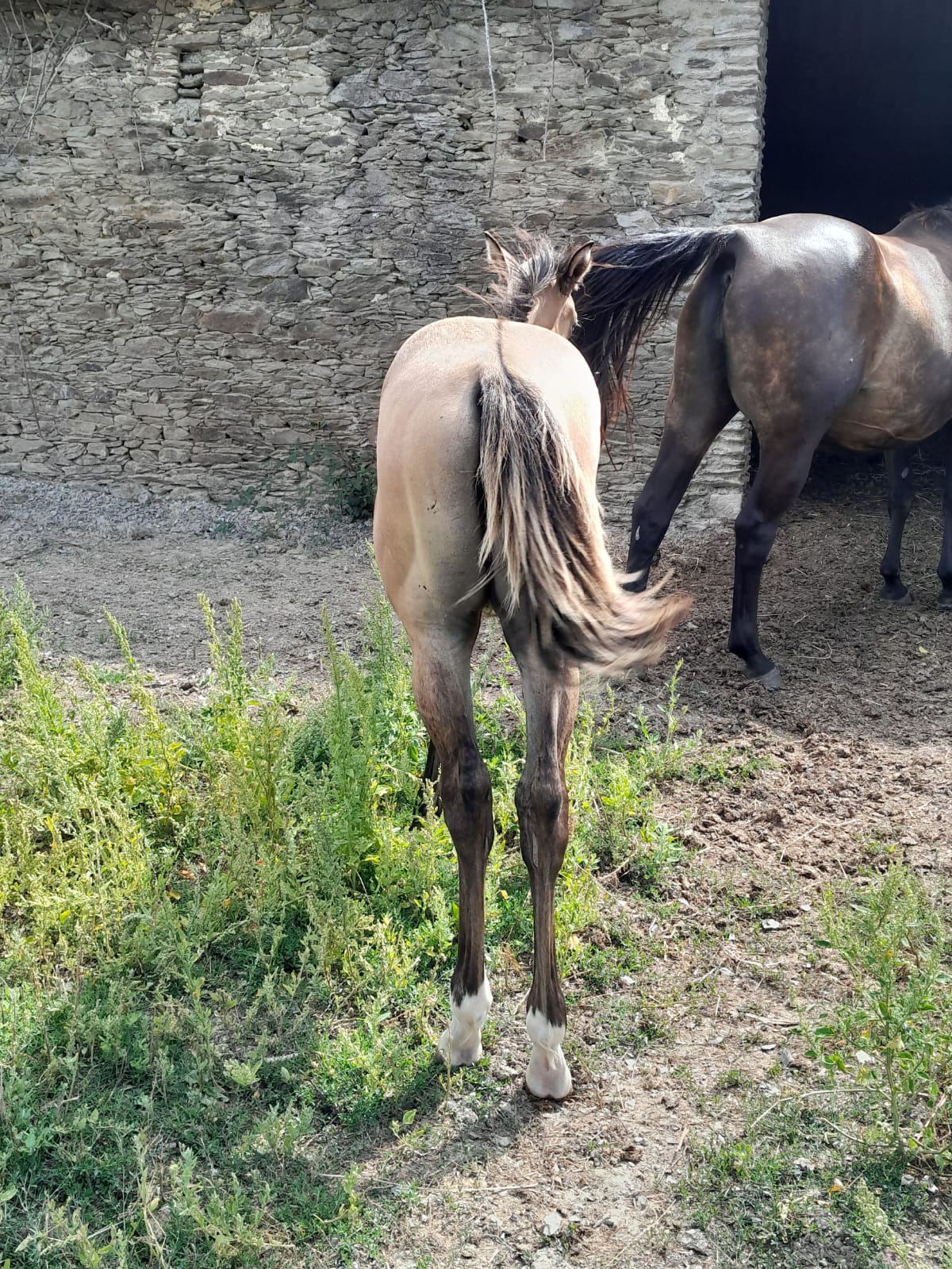 2025 07 29 à 16.11.22 bf5b31eb