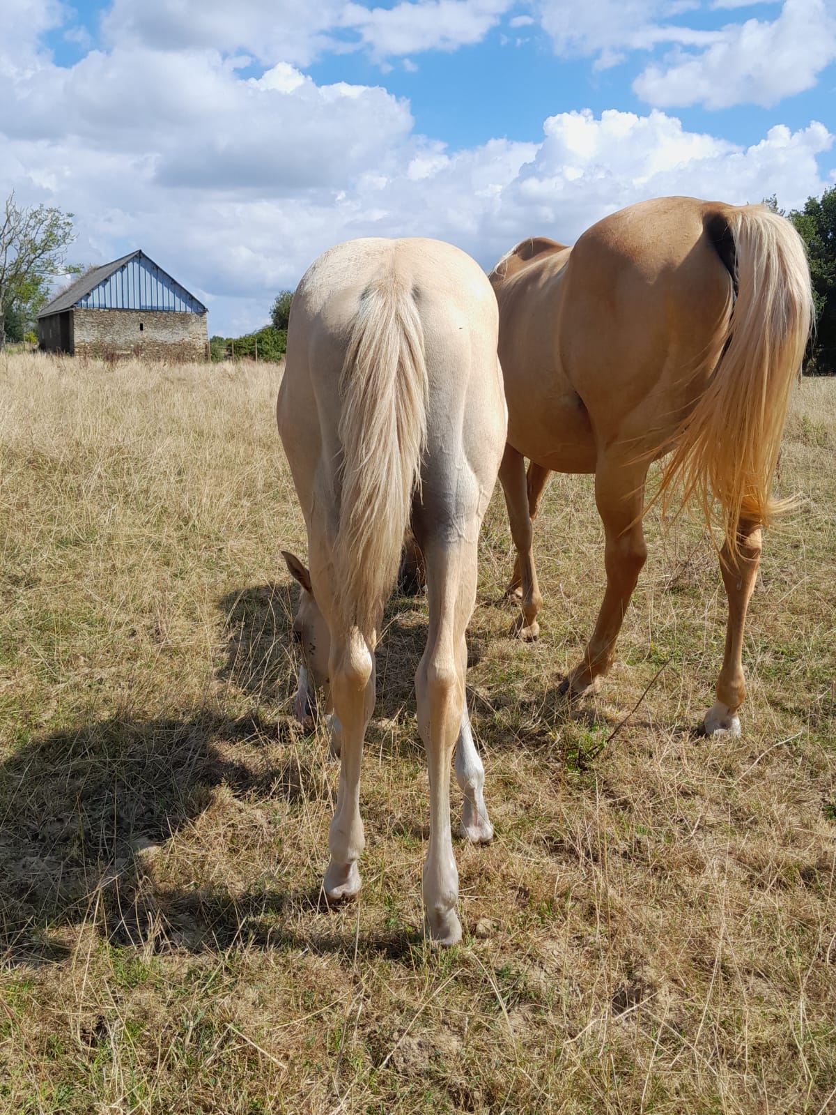 2025 07 29 à 16.11.42 1db5831c