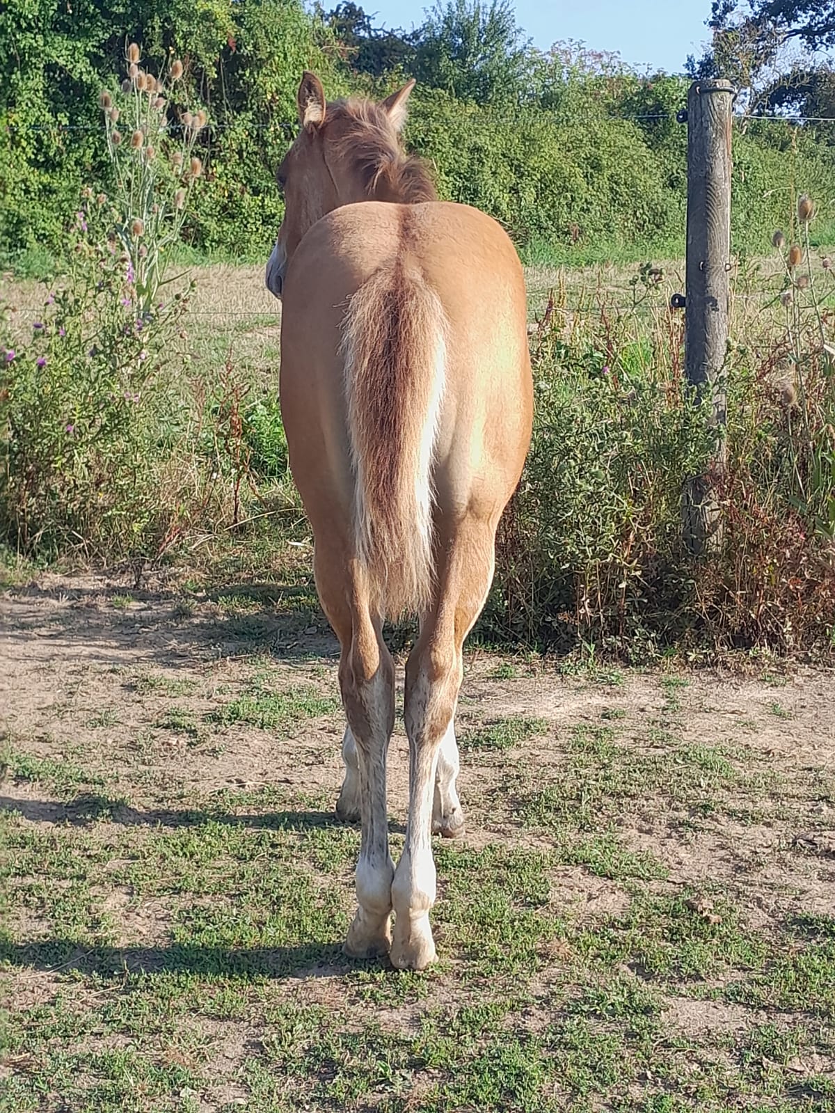 2025 07 29 à 16.12.06 2f754a11