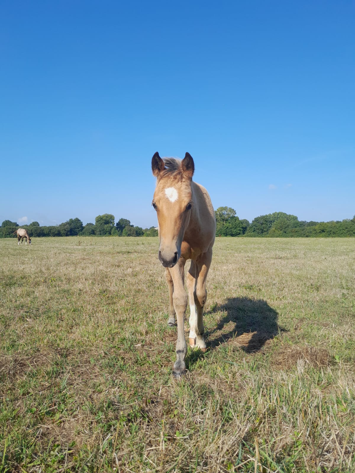 2025 07 29 à 16.12.31 56c48f72