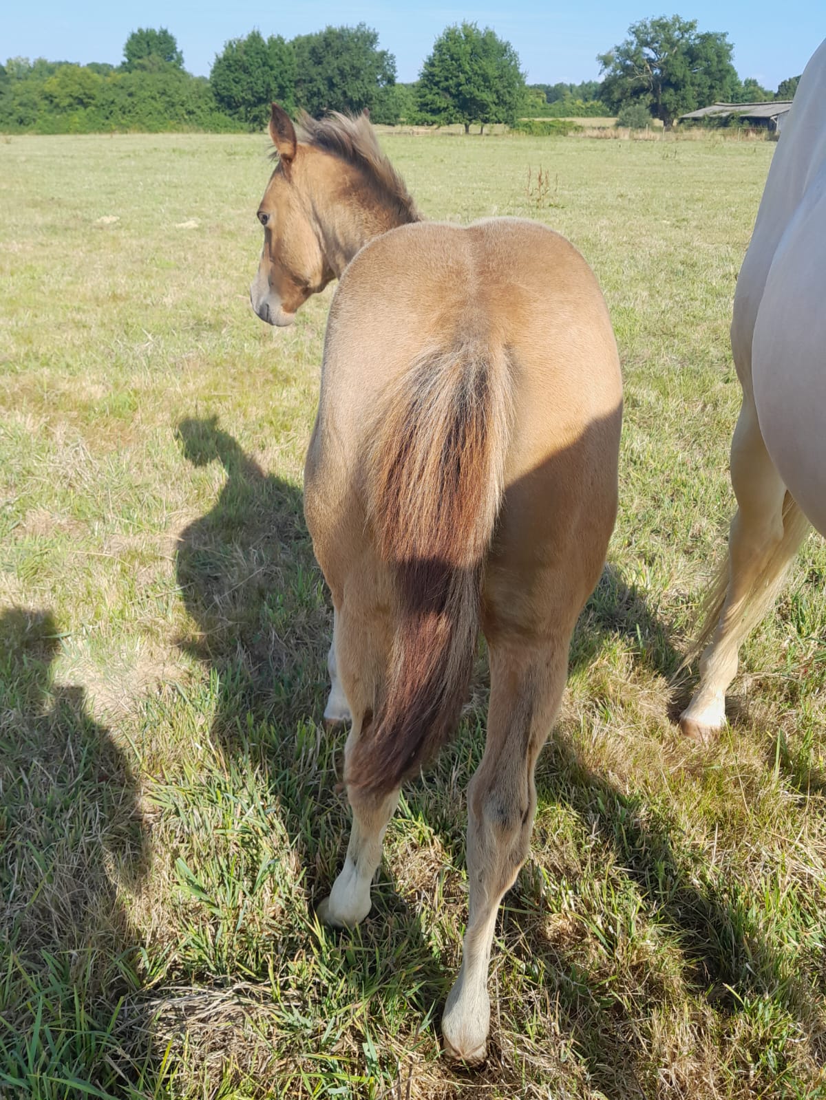 2025 07 29 à 16.12.31 6edab470