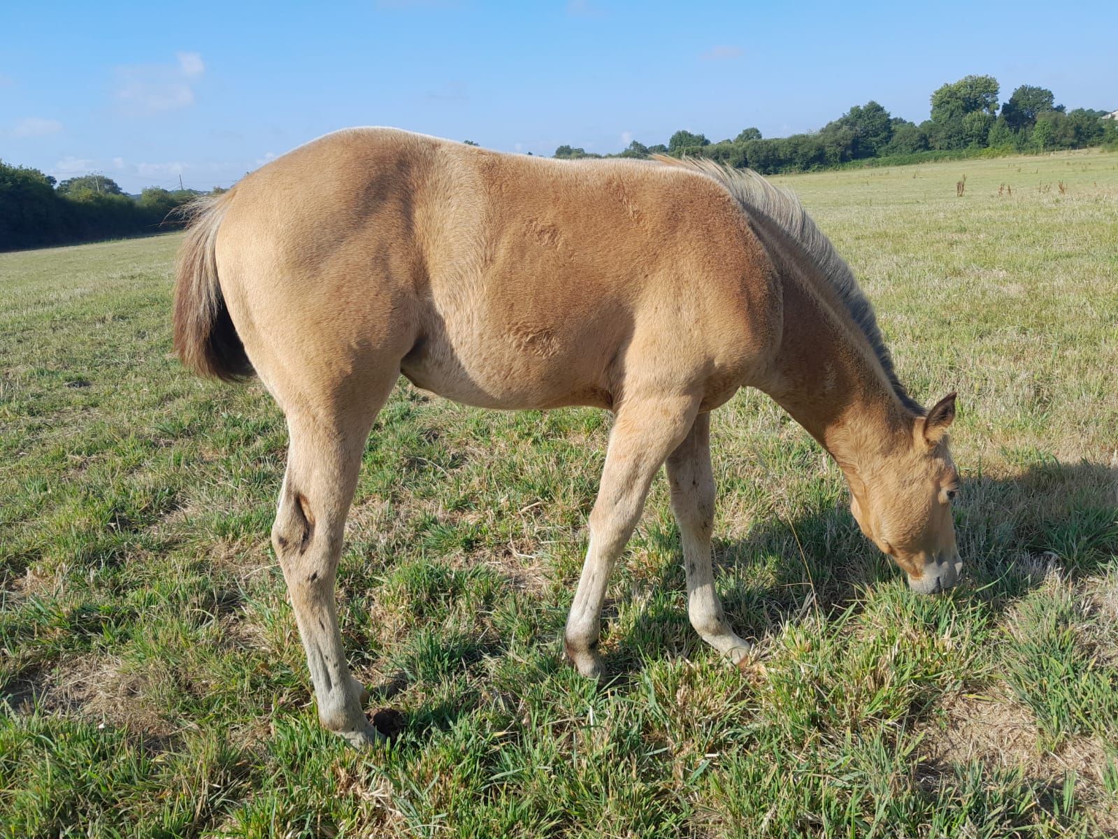 2025 07 29 à 16.12.31 91c00861