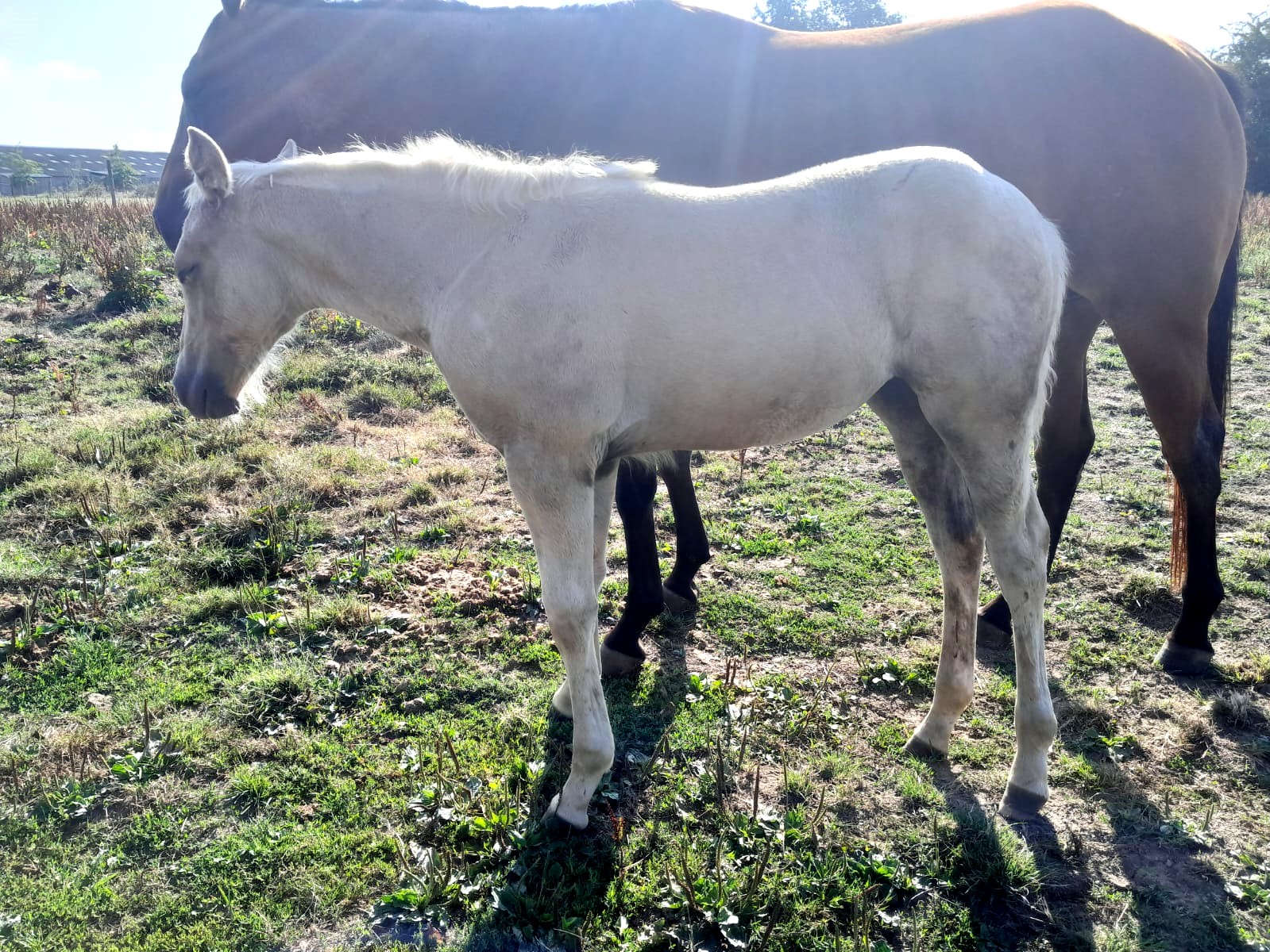 2025 07 29 à 16.12.48 f1f2e557