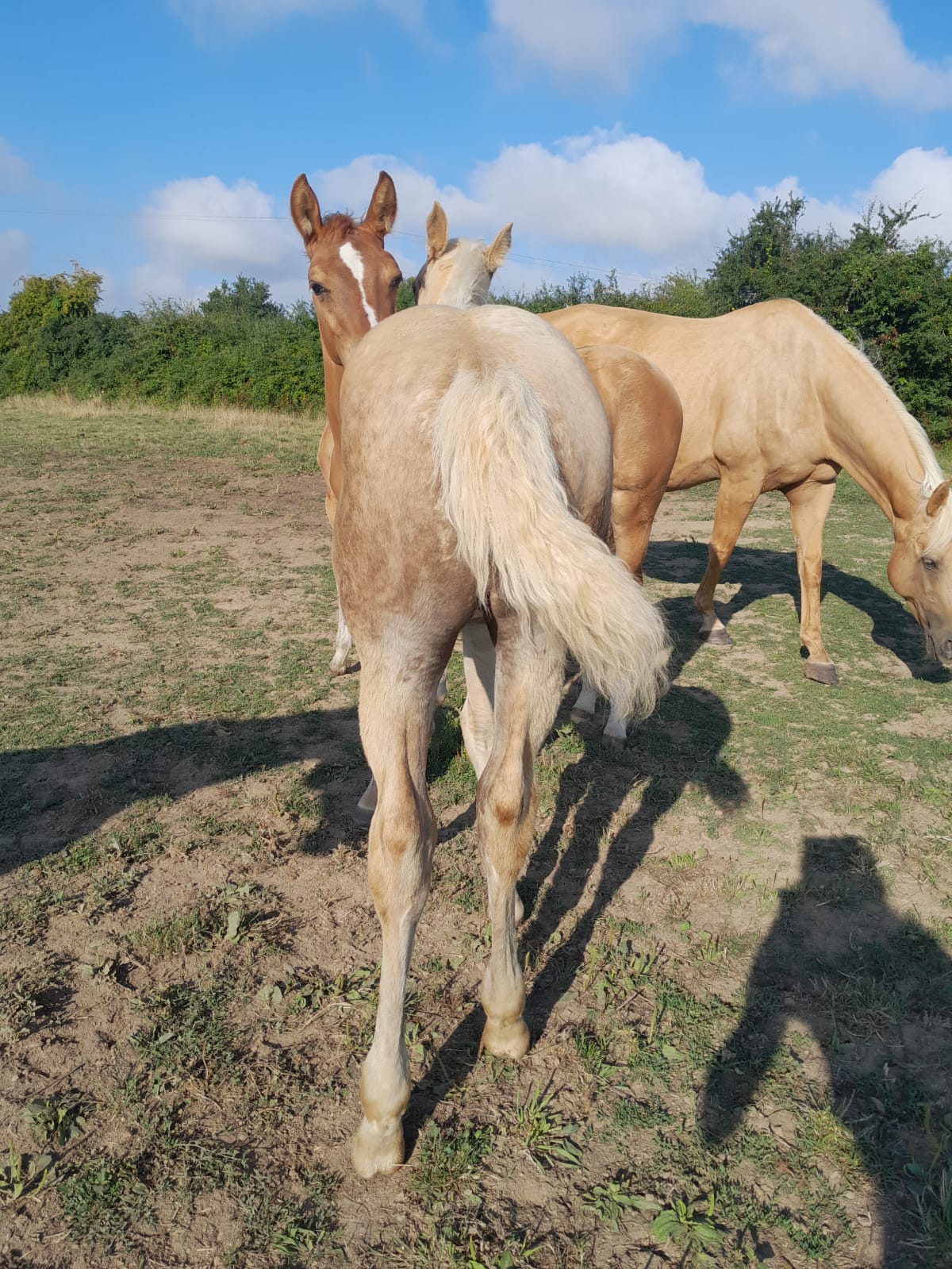 2025 07 29 à 16.12.49 ea379e46