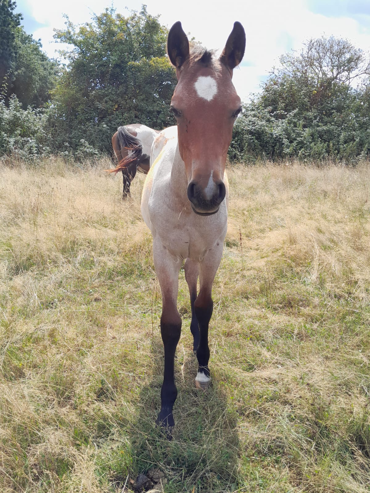 2025 07 29 à 16.13.10 4c886847