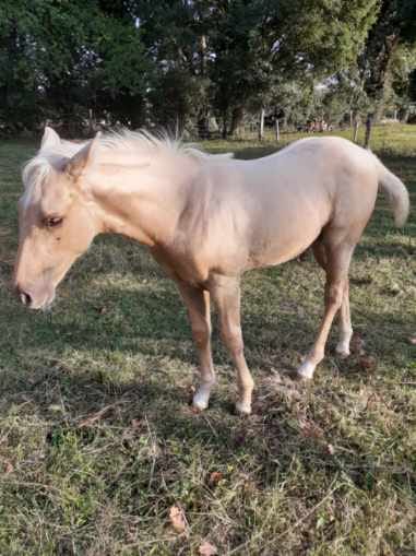 2025 07 29 à 16.14.13 16b4faa6