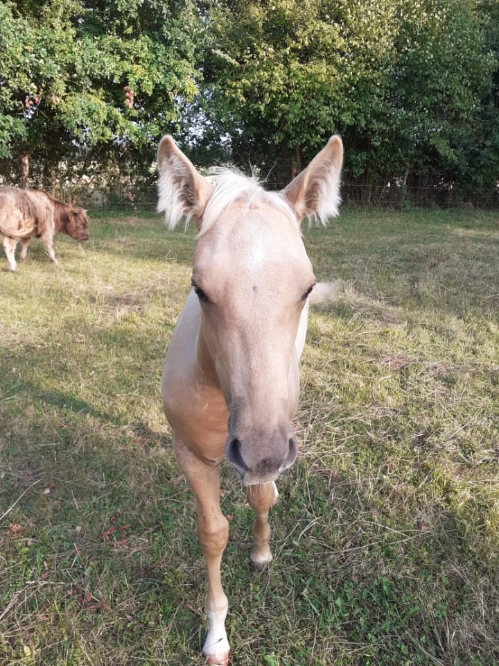 2025 07 29 à 16.14.13 c757b5be