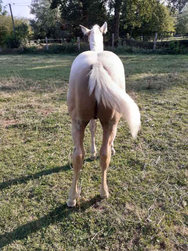 2025 07 29 à 16.14.13 dc23edc6