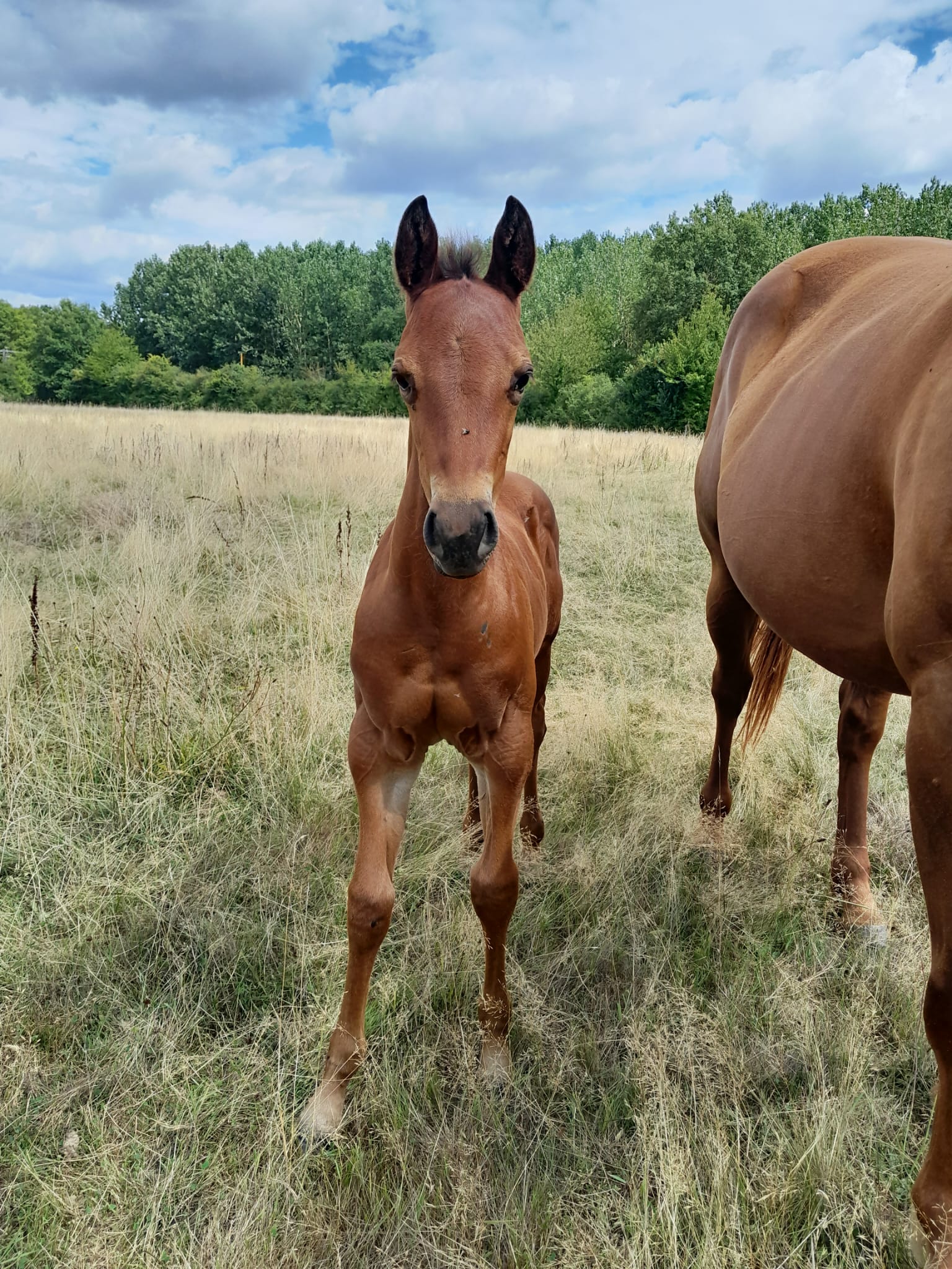 2025 07 29 à 16.14.38 67fd0430