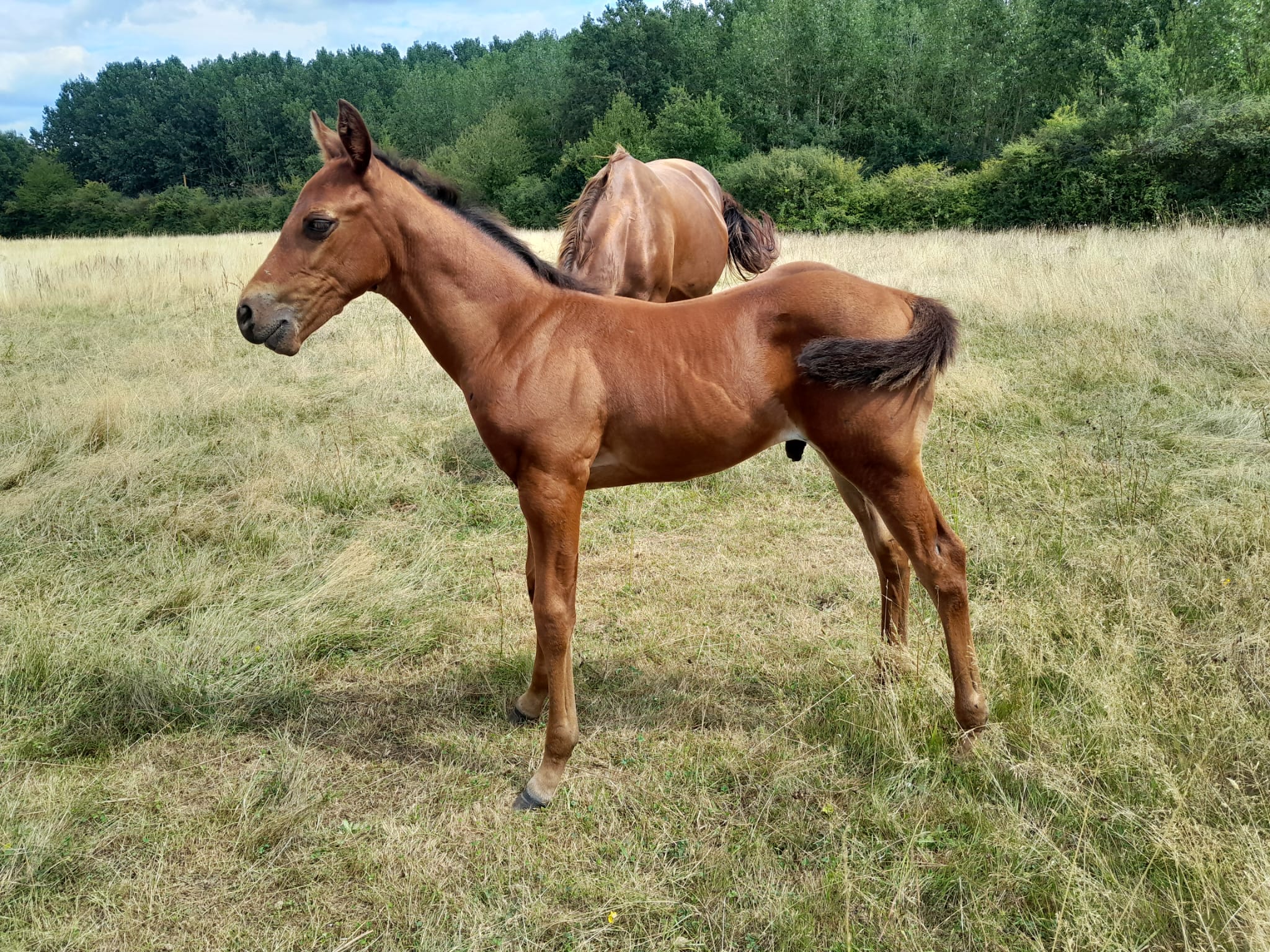 2025 07 29 à 16.14.38 a1f715e8