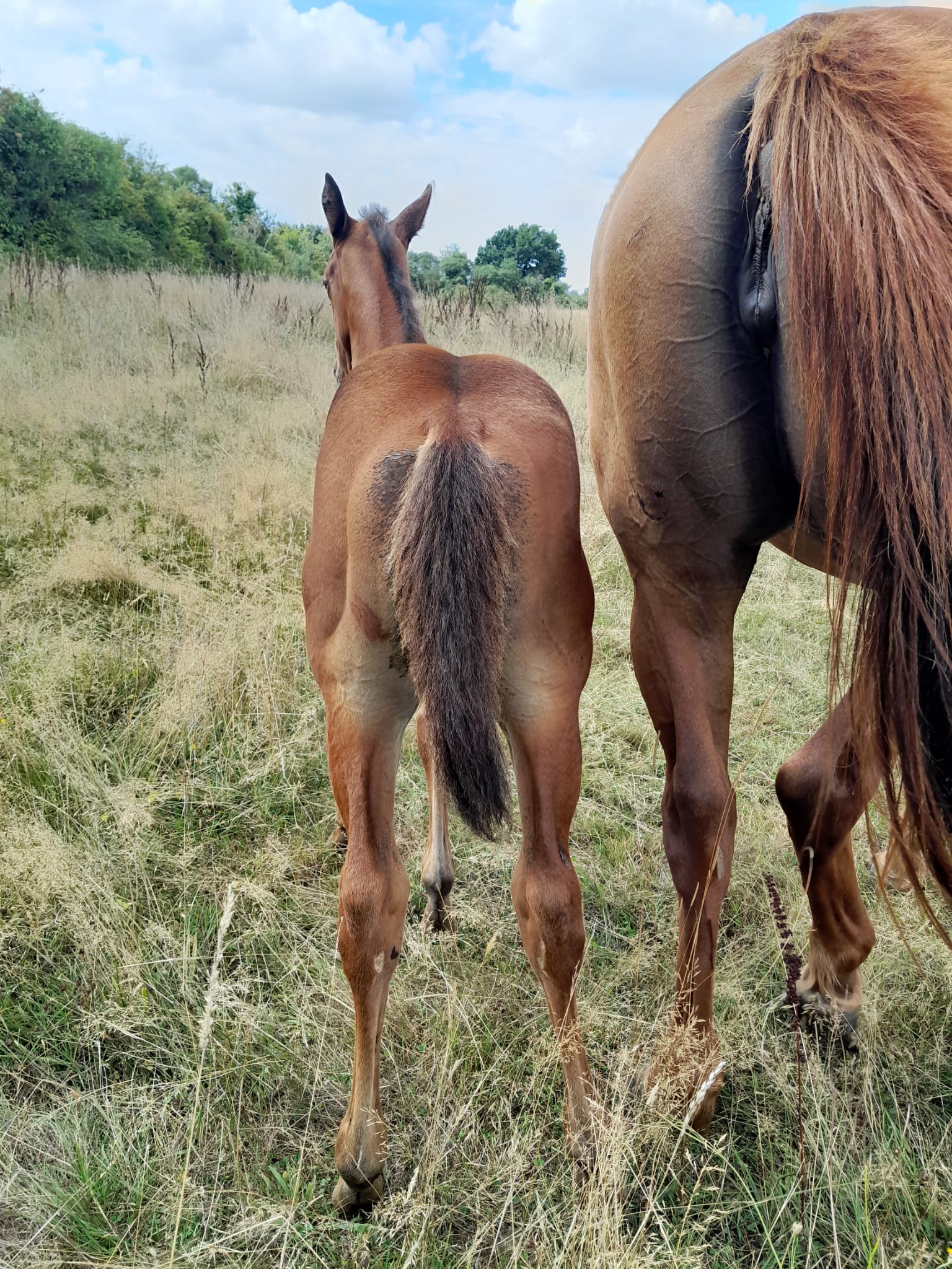 2025 07 29 à 16.14.39 d21f2121