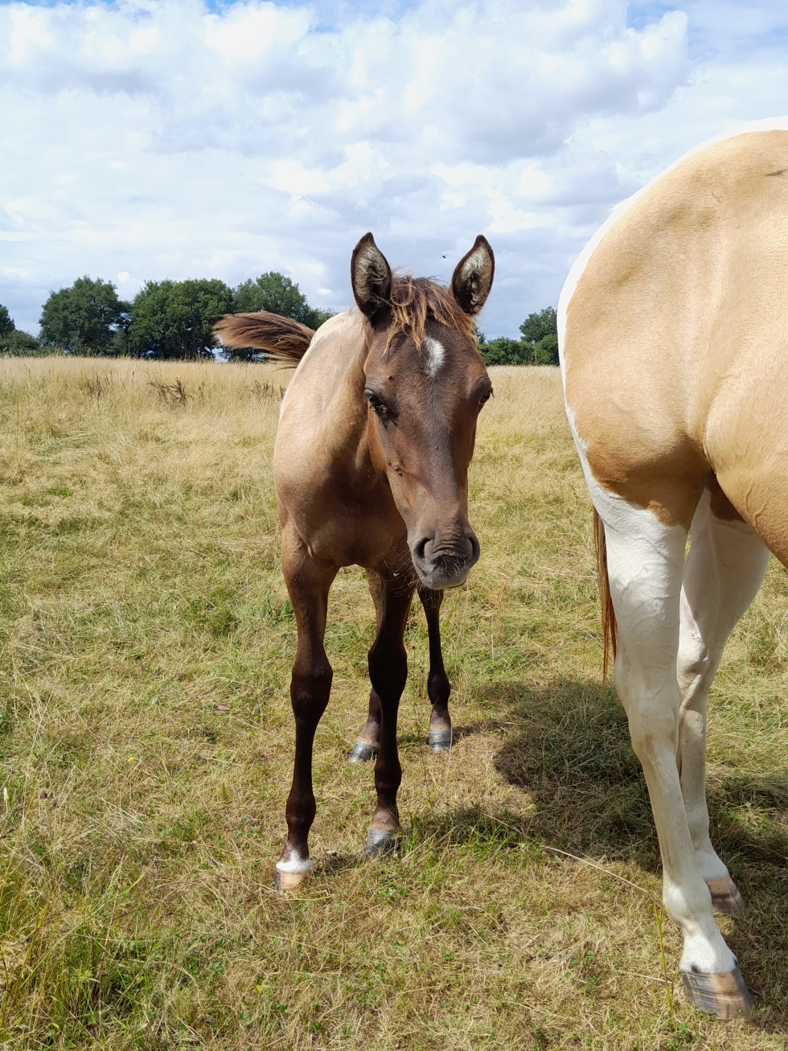 2025 07 29 à 16.14.51 6a02d62b