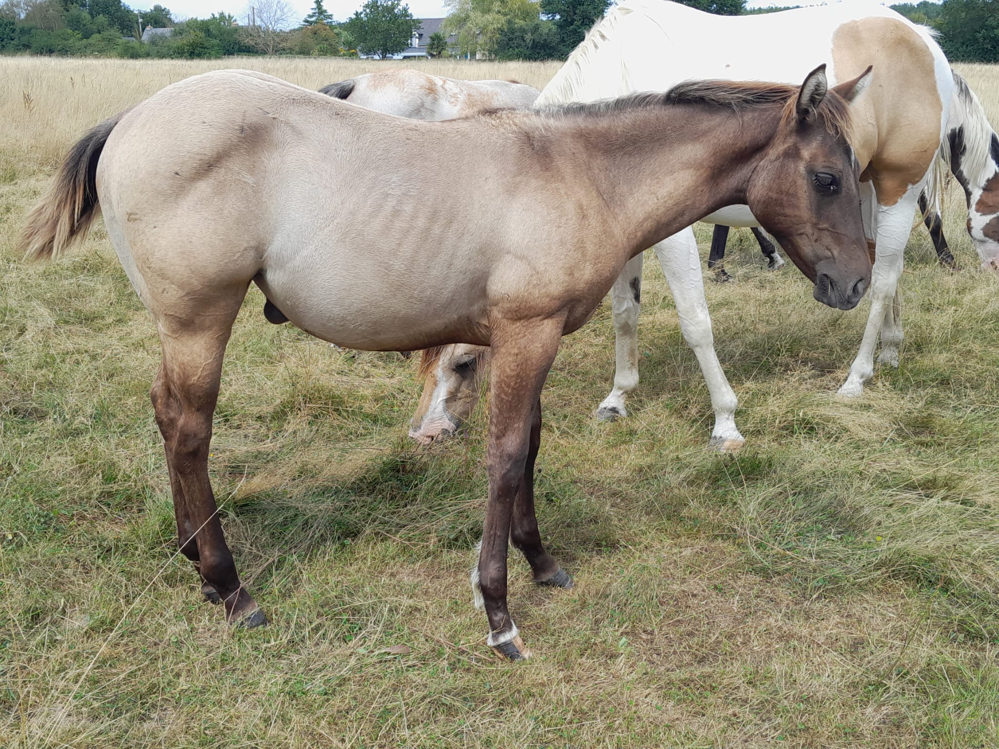2025 07 29 à 16.14.51 a5818cab
