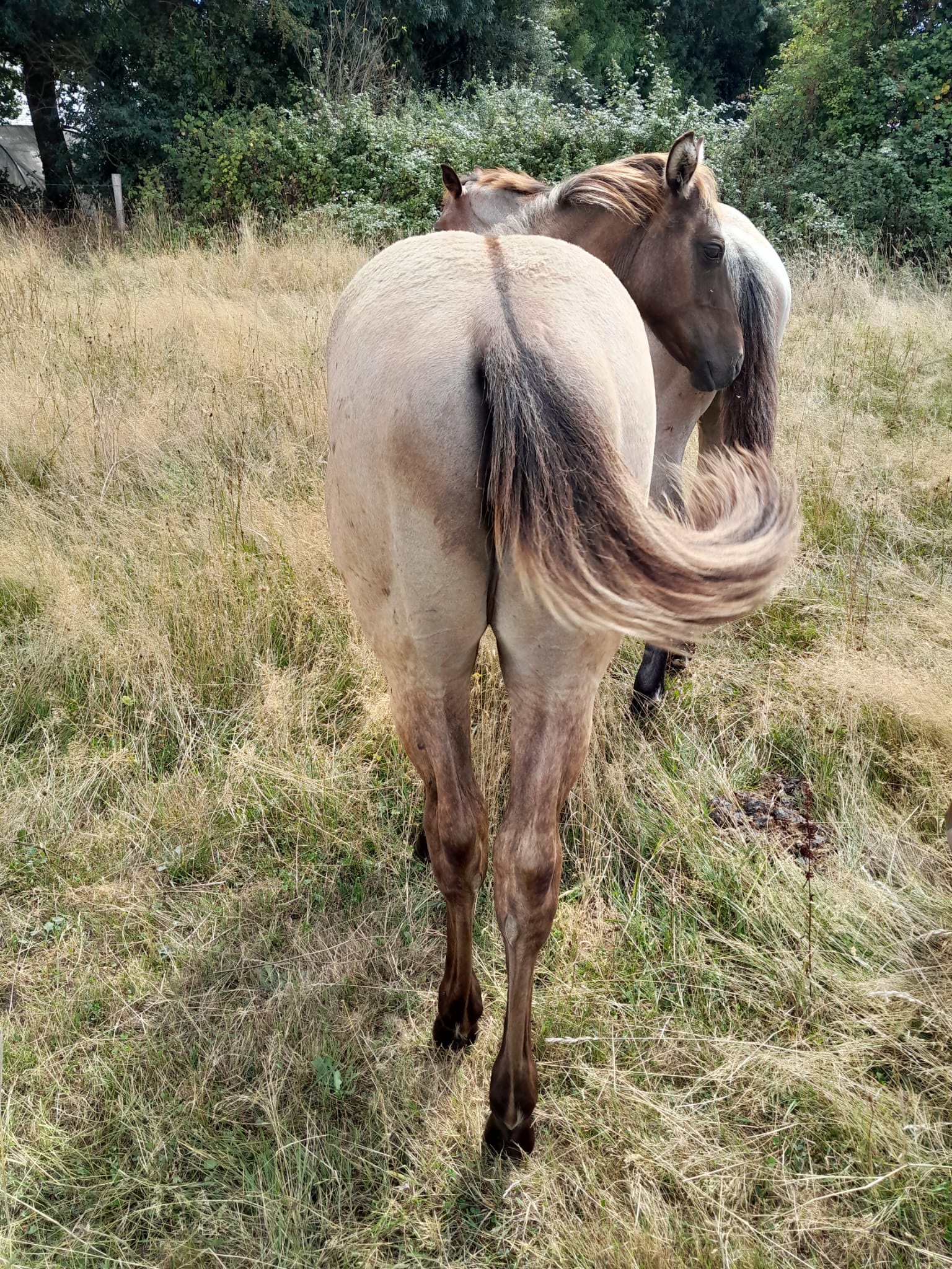 2025 07 29 à 16.14.51 ebed34fe