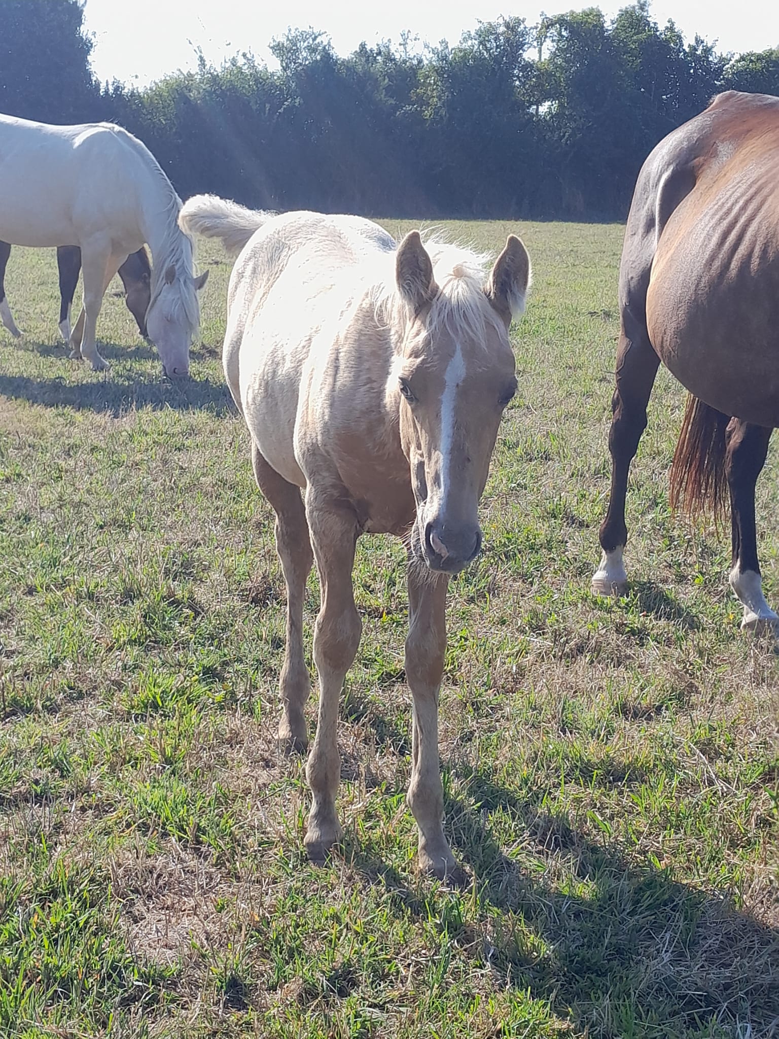 2025 07 29 à 16.20.46 79fddf22