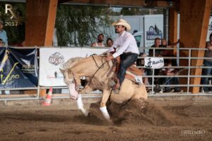 Le Ranch 467188337 10230170706805260 5991640977771026271 n