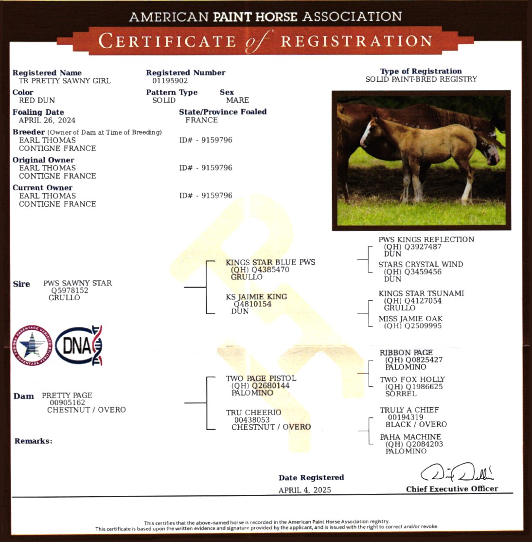 apha tr pretty sawny girl