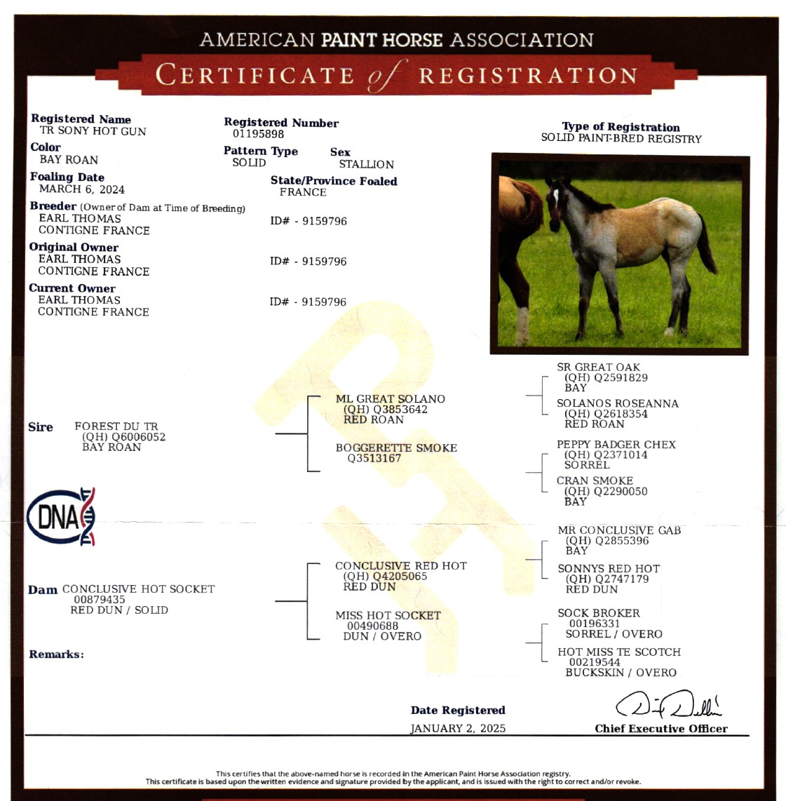apha tr sony hot gun