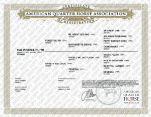 aqha certificate of registration california du tr