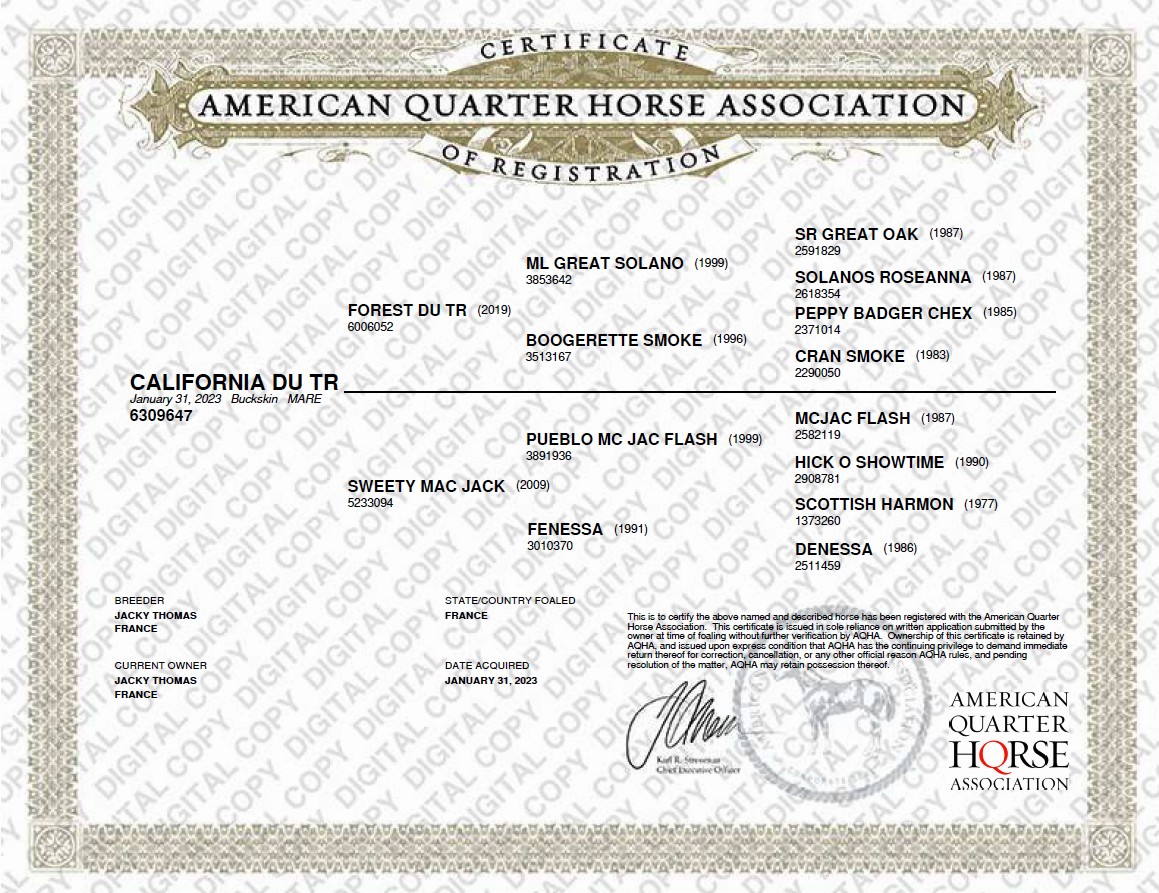 aqha certificate of registration california du tr