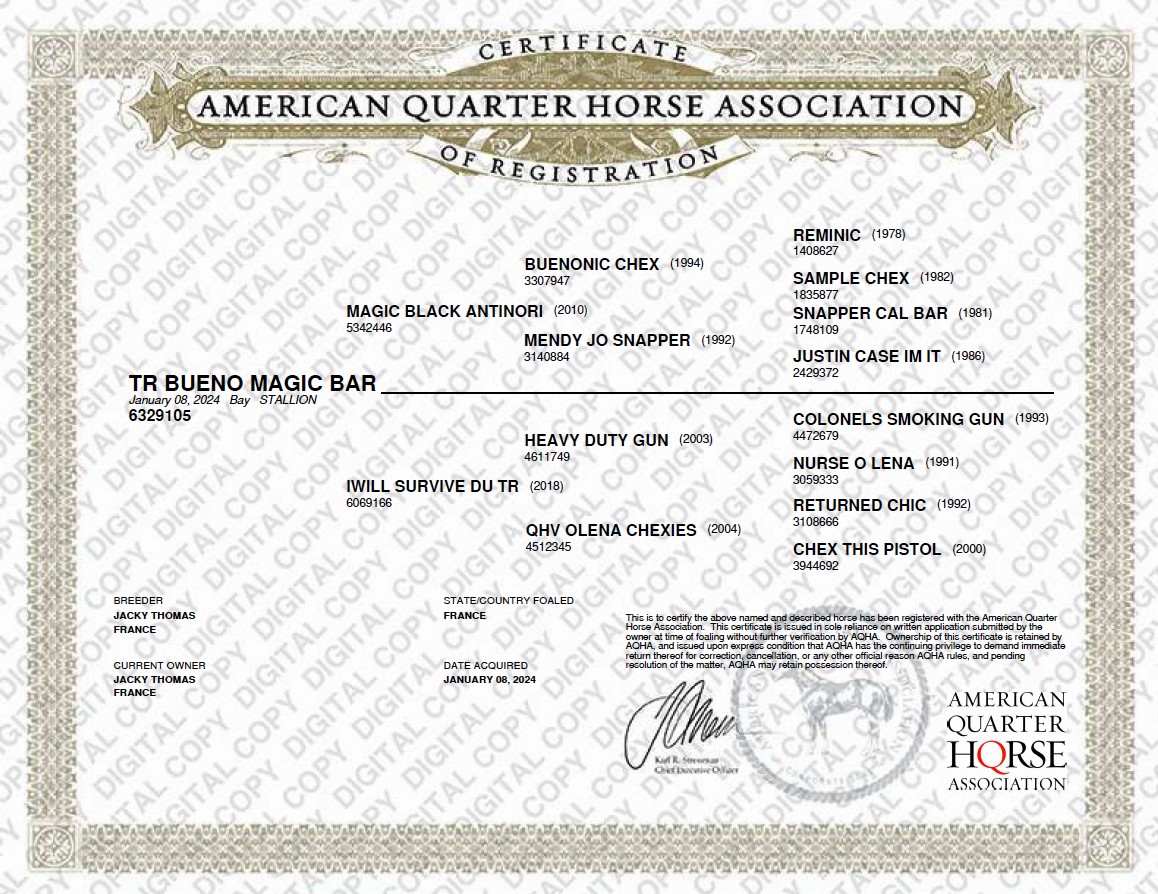 aqha tr bueno magic bar