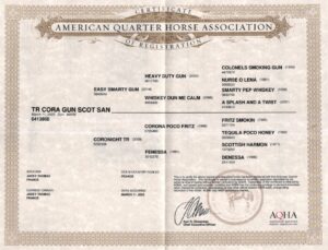 aqha tr cora gun scot san