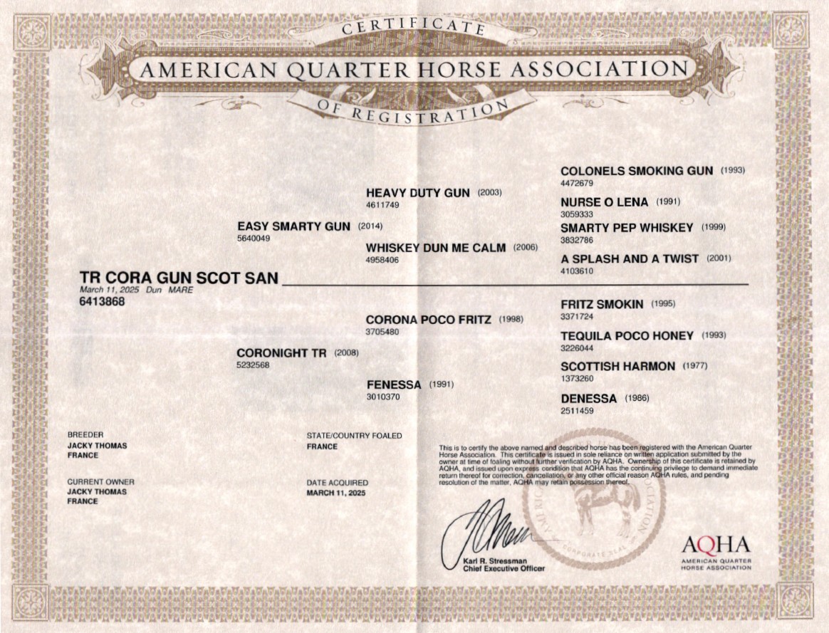 aqha tr cora gun scot san