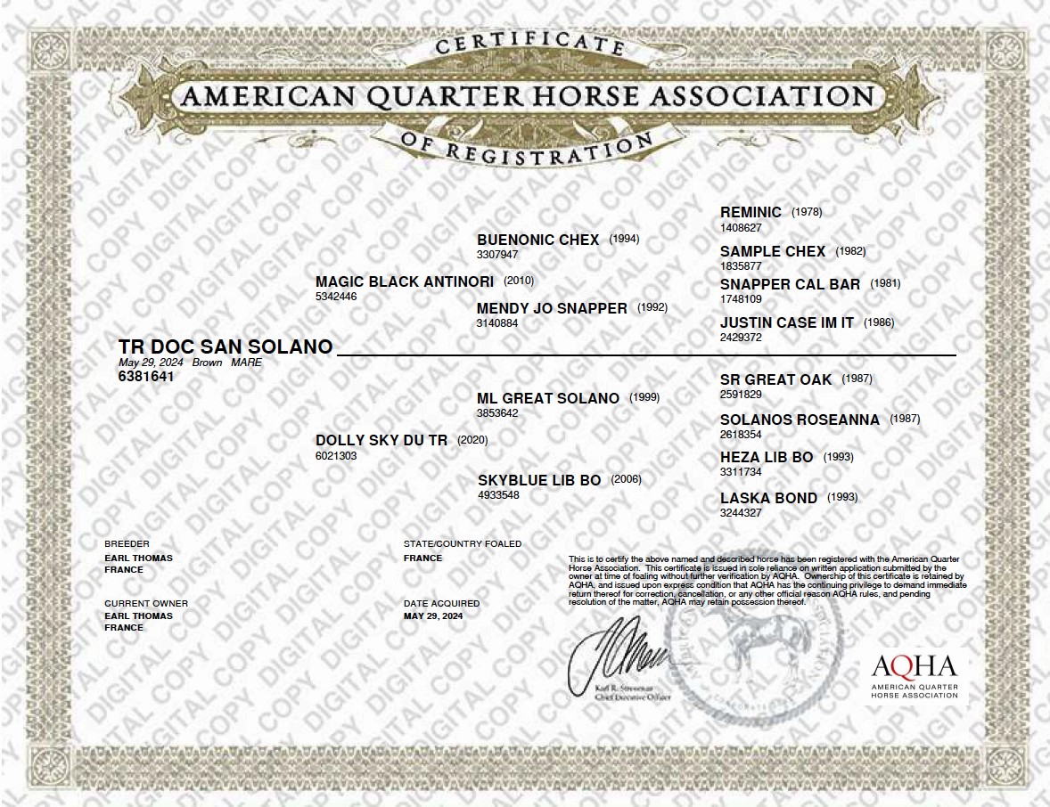 aqha tr doc san solano