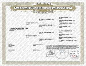 aqha tr great dream oak
