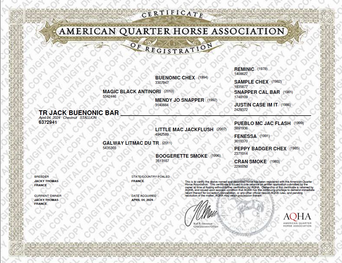 aqha tr jack buenonic bar