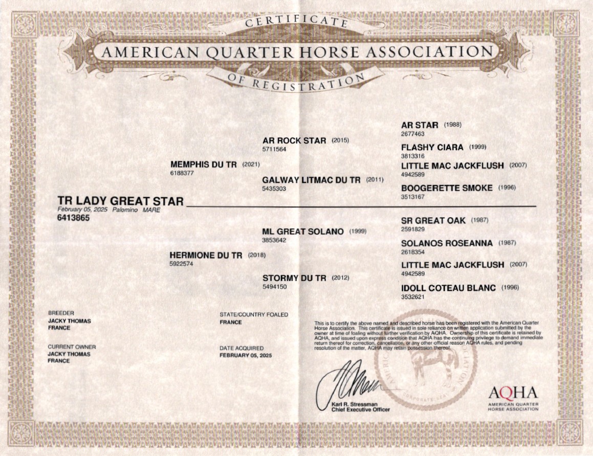 aqha tr lady great star
