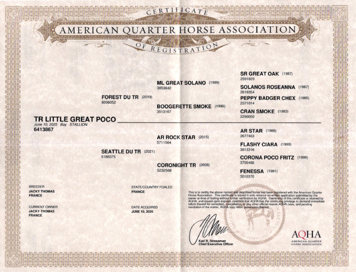 aqha tr little great poco