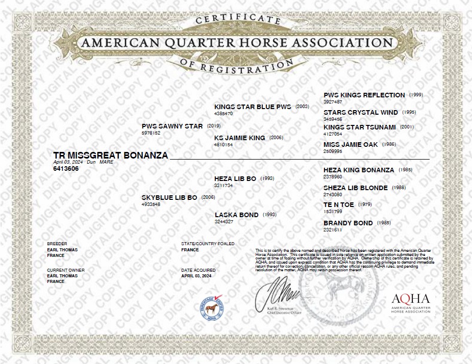 aqha tr missgreat bonanza
