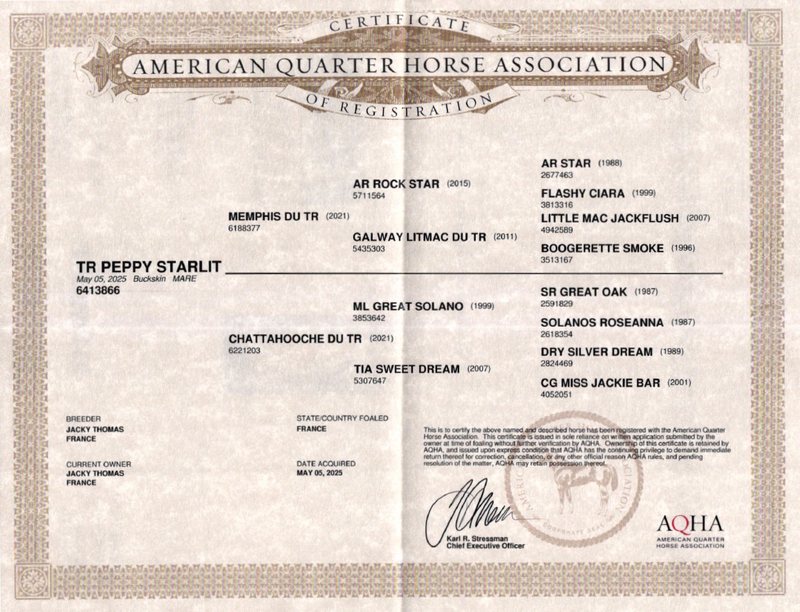 aqha tr peppy starlit