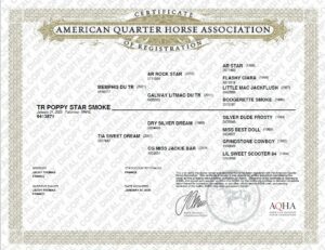 aqha tr poppy star smoke