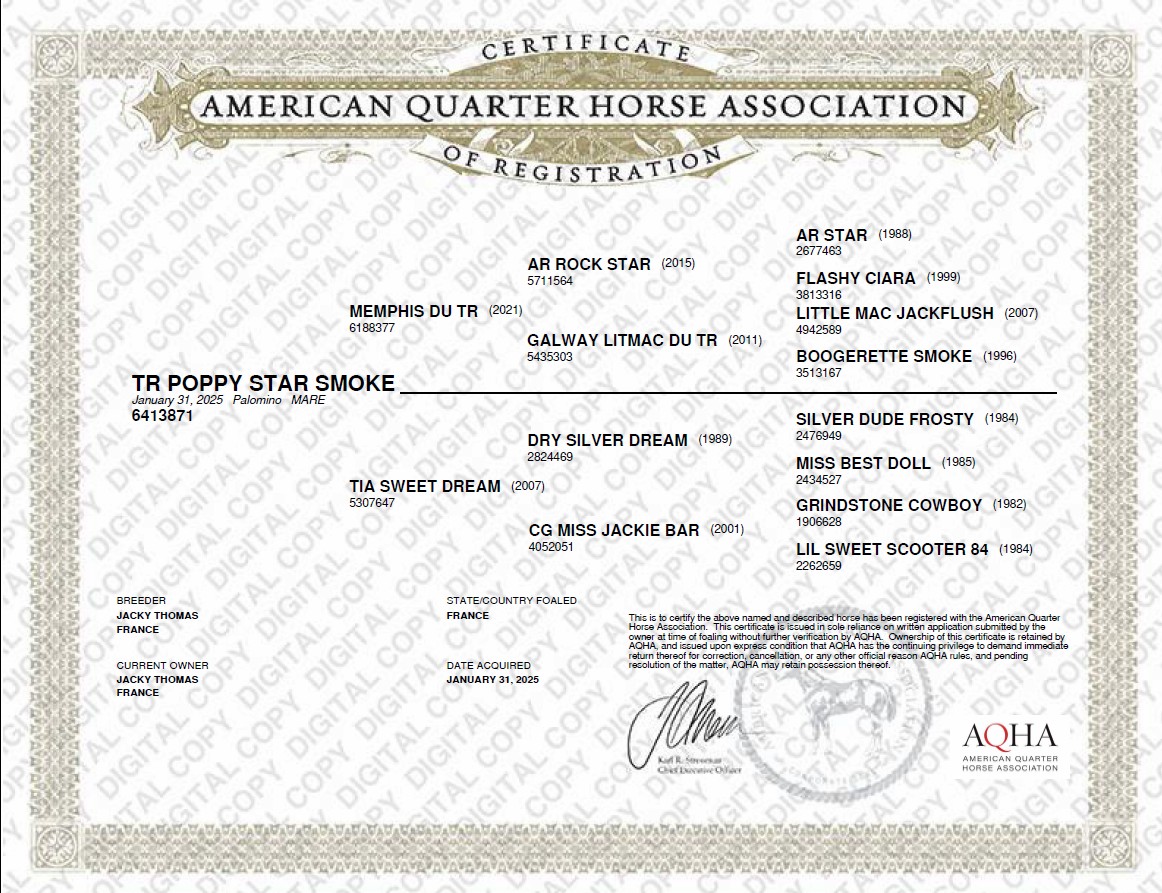 aqha tr poppy star smoke