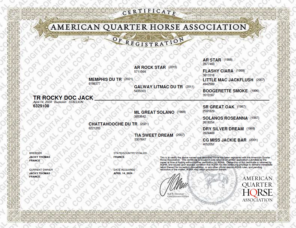 aqha tr rocky doc jack