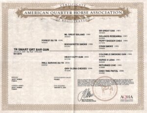 aqha tr smart grt bar gun