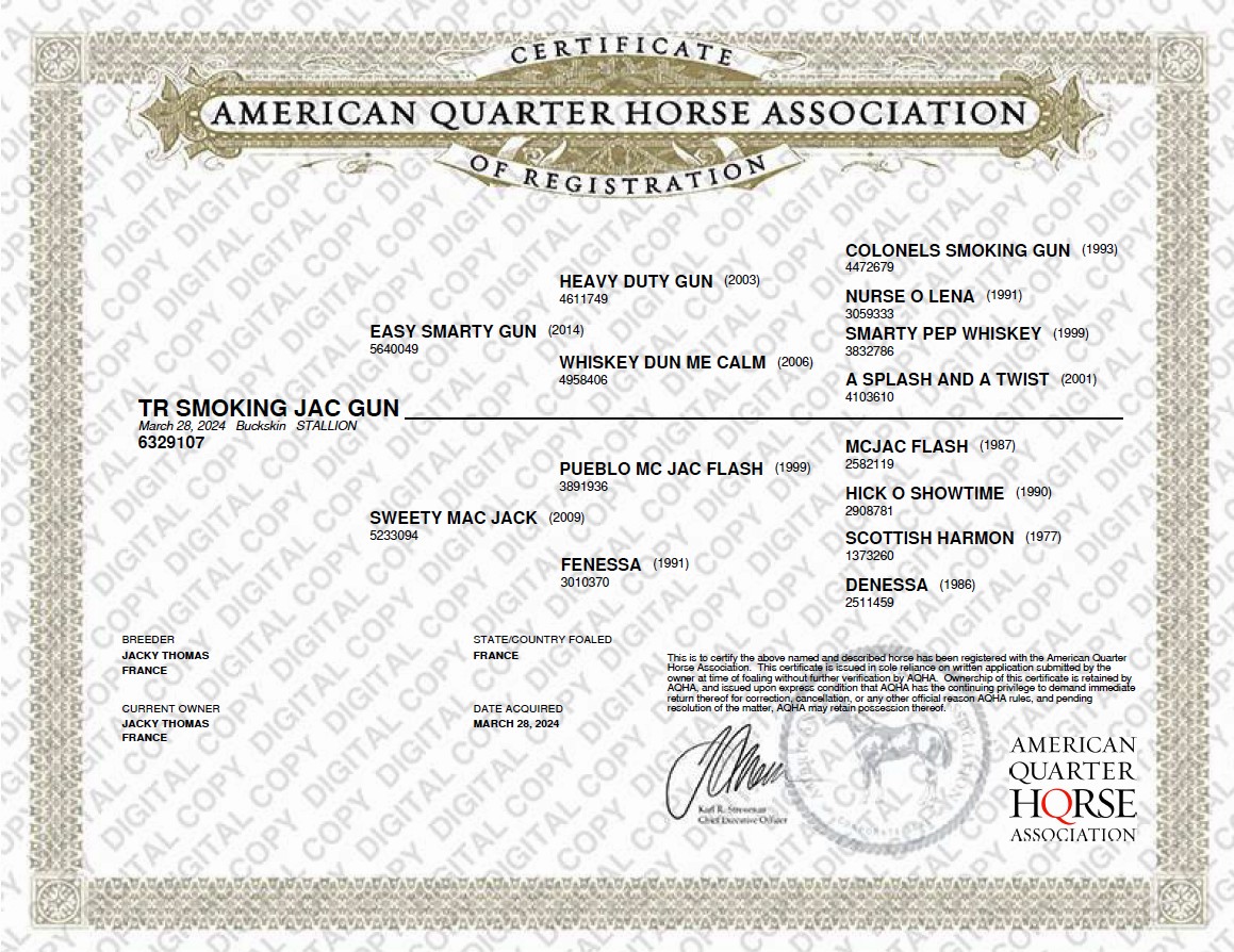 aqha tr smoking jac gun