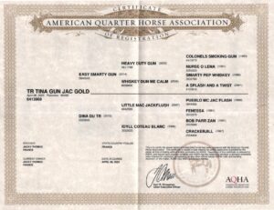 aqha tr tina gun jac gold