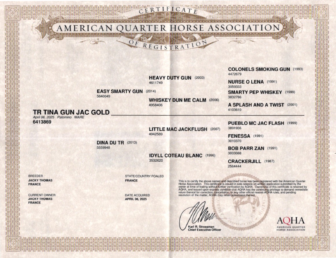 aqha tr tina gun jac gold