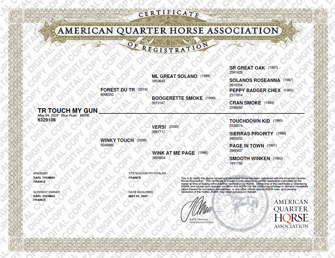 aqha tr touch my gun