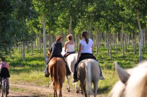 Pension rando enfants (546)