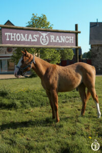tr pretty sawny girl 4