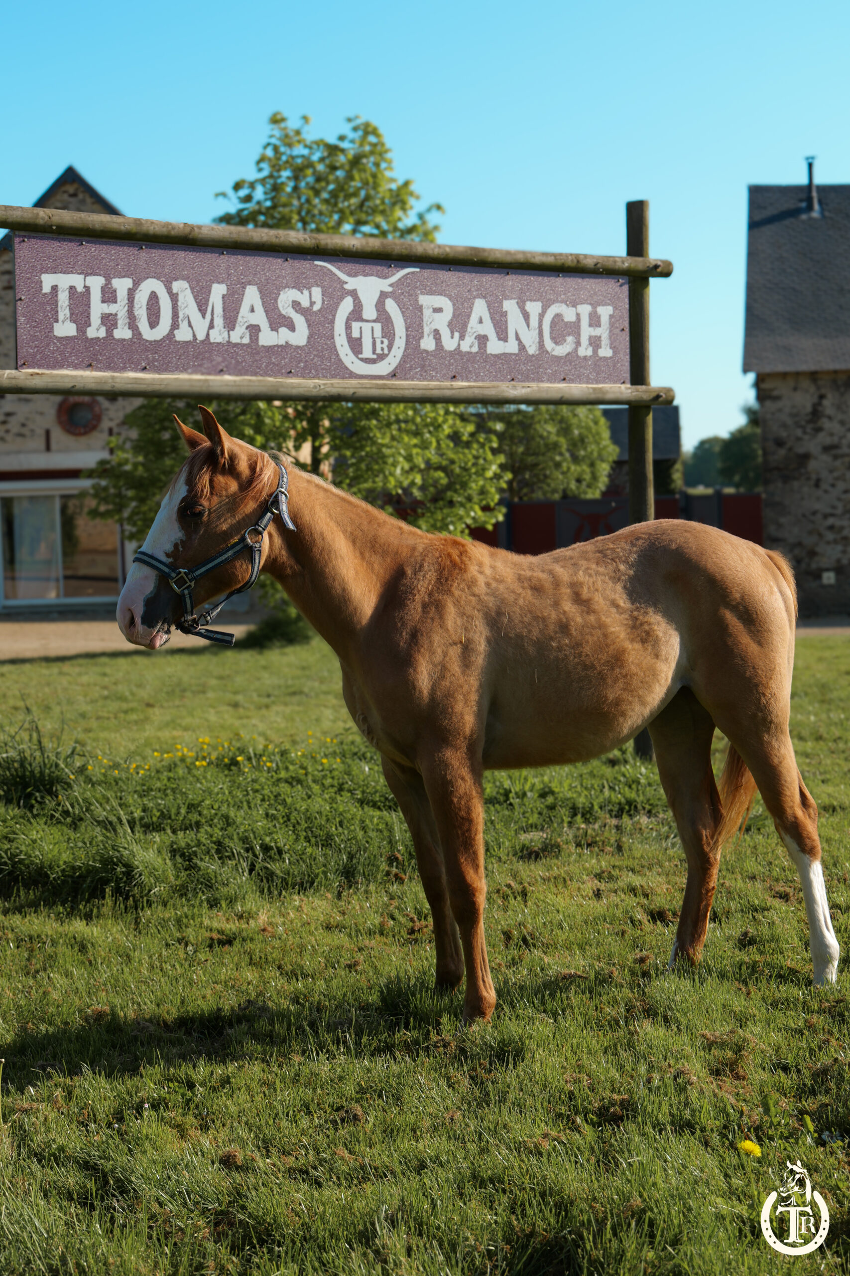 tr pretty sawny girl 4