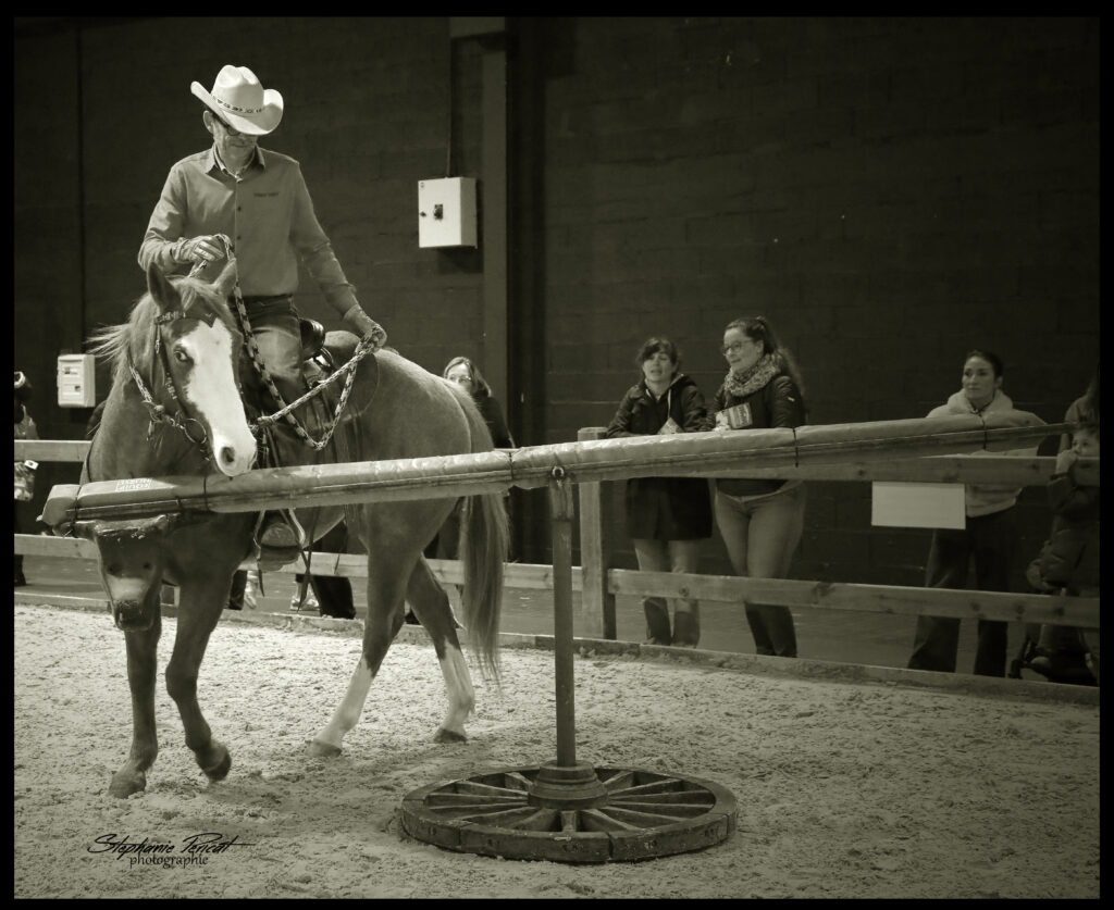 demothomasranch730a8098sca2025spnb